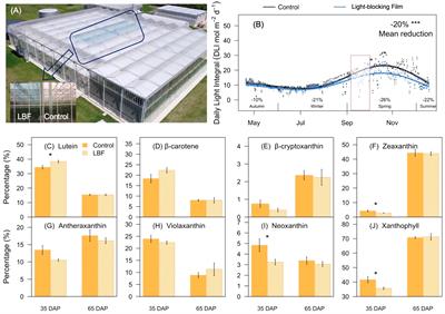 Novel transcriptome networks are associated with adaptation of capsicum fruit development to a light-blocking glasshouse film